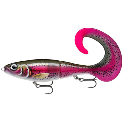 Live Rainbow Trout