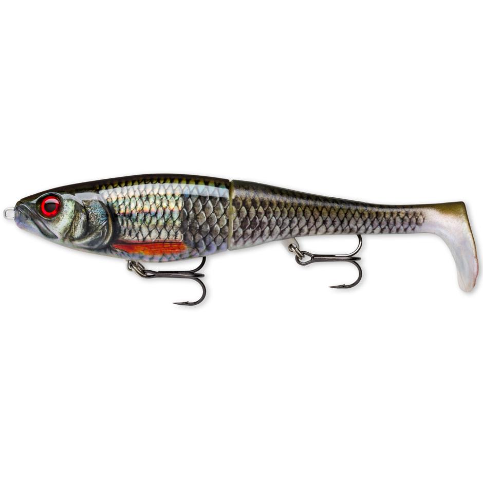 View of Swimbaits Rapala X-Rap Peto 8" Swimbait Live Roach available at EZOKO Fishing
