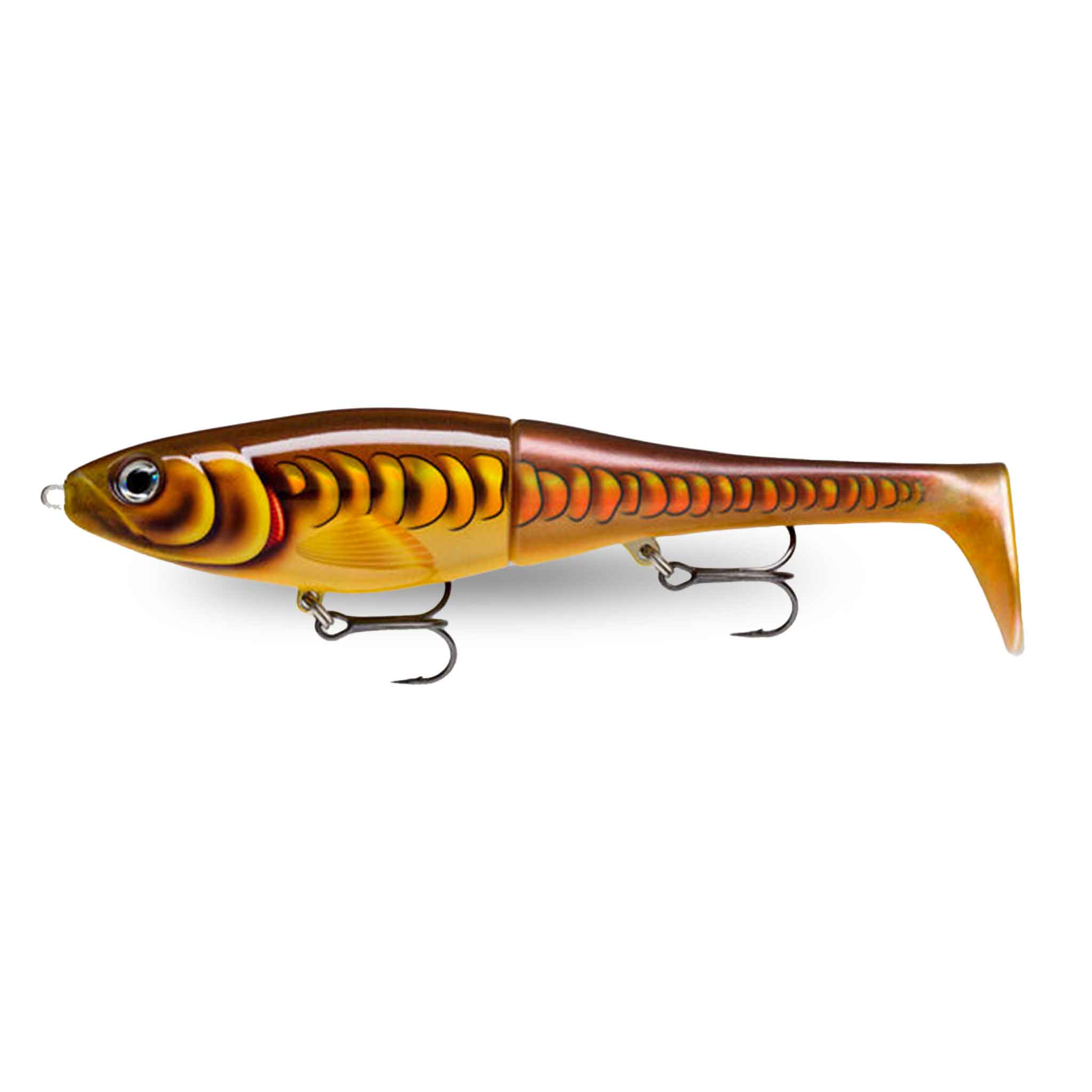 View of Swimbaits Rapala X-Rap Peto 8" Swimbait Mirror Carp available at EZOKO Fishing