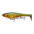 Scaled Roach
