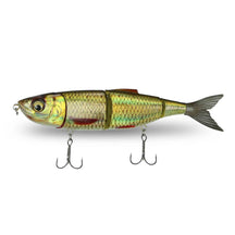 View of Swimbaits Savage Gear 4Play Pro 5" Swimbait Golden Shiner available at EZOKO Pike and Musky Shop