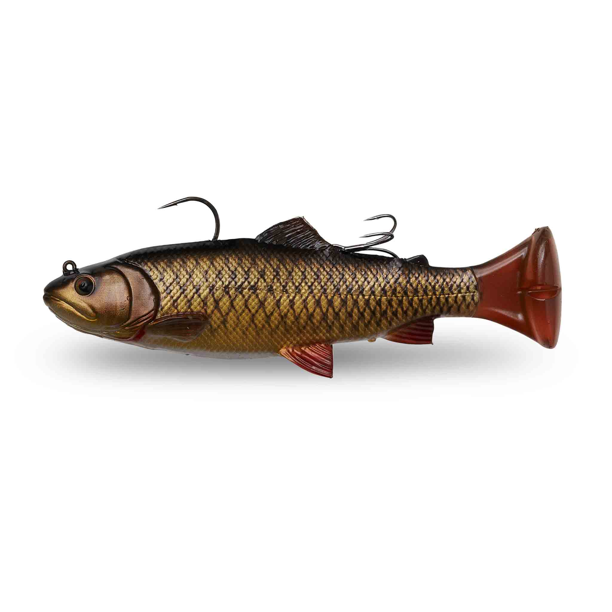 View of Swimbaits Savage Gear Pulse Tail trout RTF Slow Sink 8" Swimbait Carp available at EZOKO Fishing