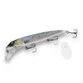 10in / Cisco Gliter
