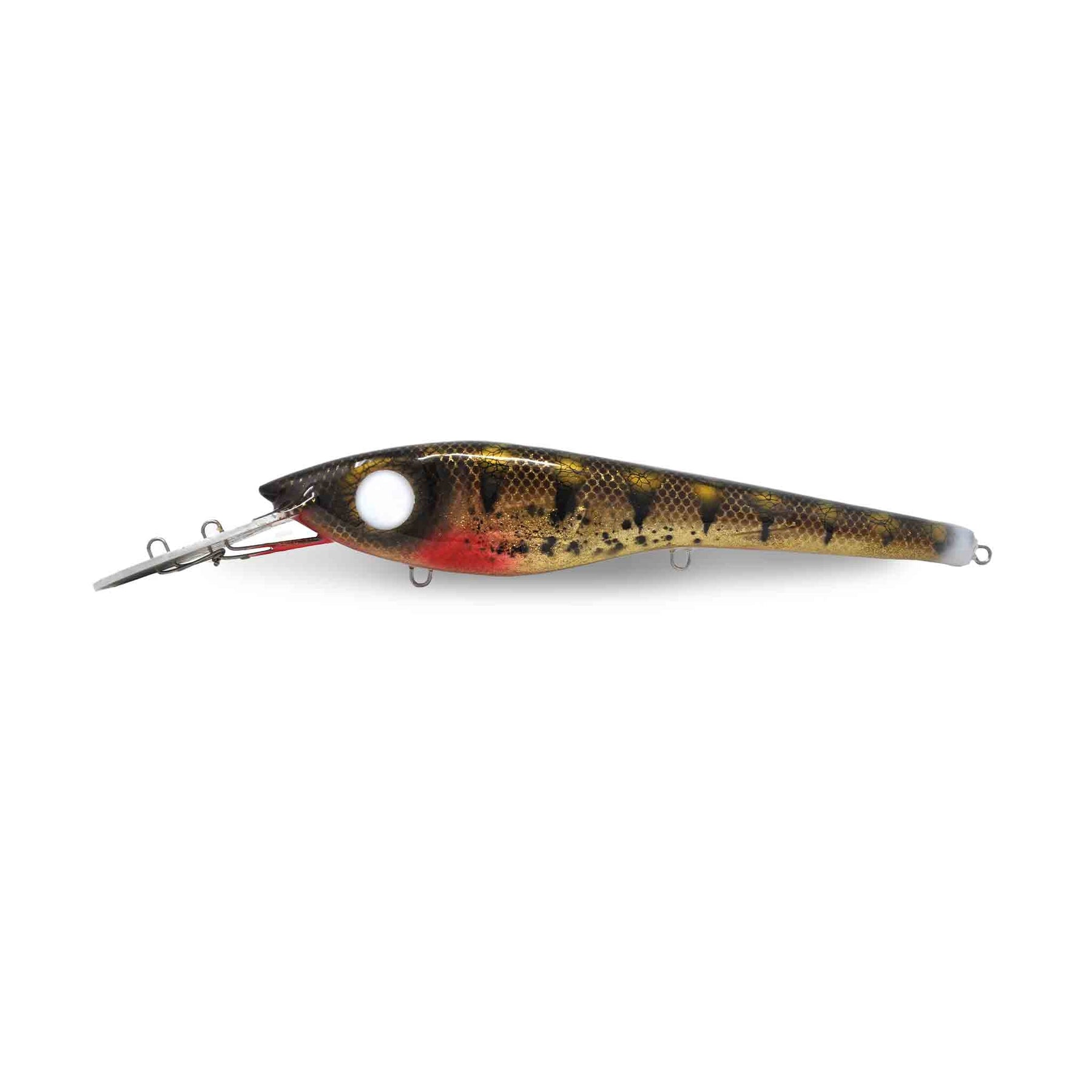 View of Crankbaits Scorpion MadBait 13'' Crankbait Walleye available at EZOKO Pike and Musky Shop
