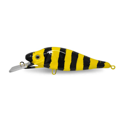 Orange Perch