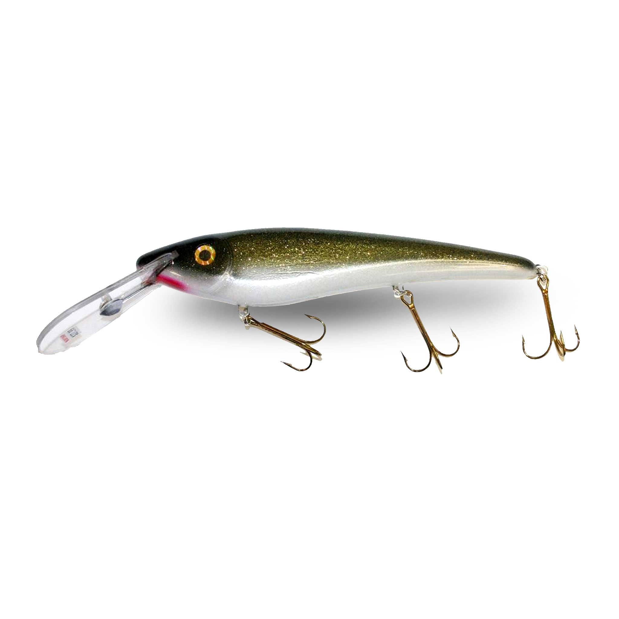 View of Crankbaits Slammer 10 Deep Shad Crankbait Sucker available at EZOKO Fishing
