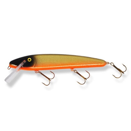 Golden Shiner