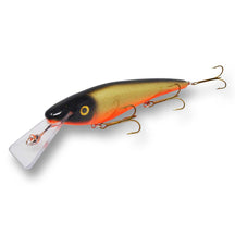 View of Crankbaits Slammer 10 Shallow Shad Crankbait Golden Shiner available at EZOKO Pike and Musky Shop