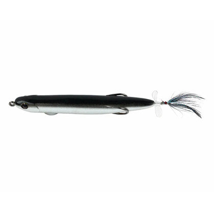 Black Back Shad