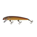 Holo Carp