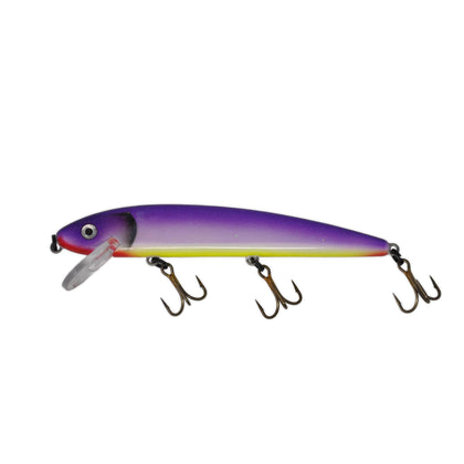 Sexy Shad