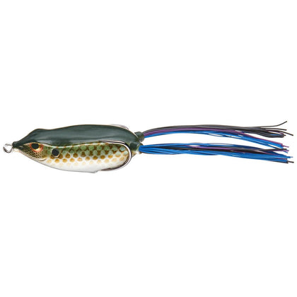 Killer Gill