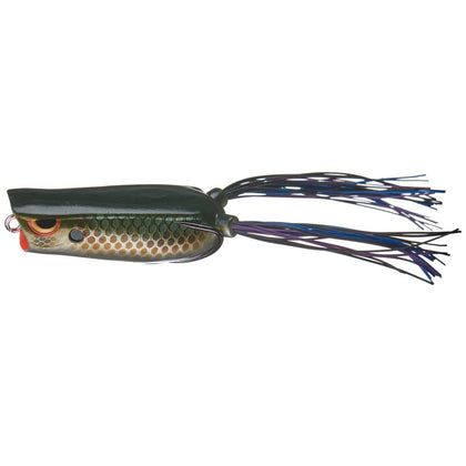 Killer Gill
