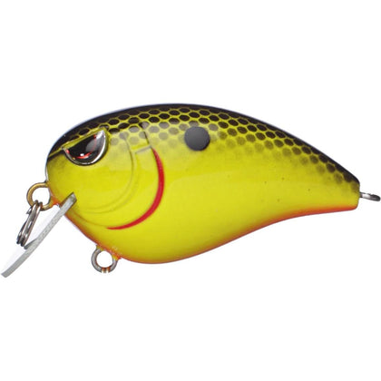 Chartreuse Black Back