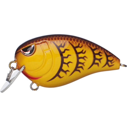 Spring Craw