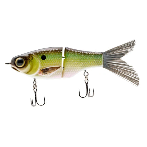 View of Spro KGB LIL' GUY 120 Grand Shad available at EZOKO Fishing