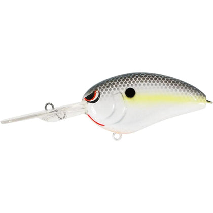 Nasty Shad
