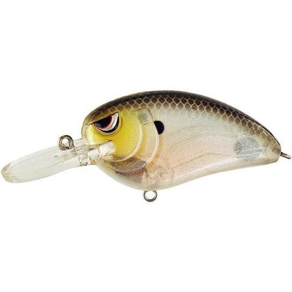 Spooky Shad