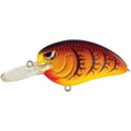 Spring Craw