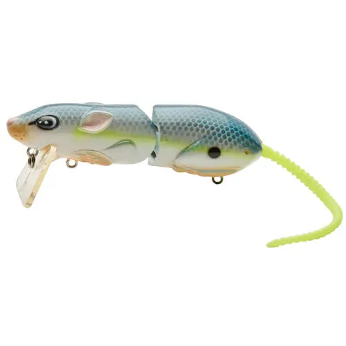 View of Spro Rat 40 Topwater Nasty Shad available at EZOKO Fishing