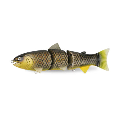 Killer Carp