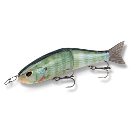 Bluegill