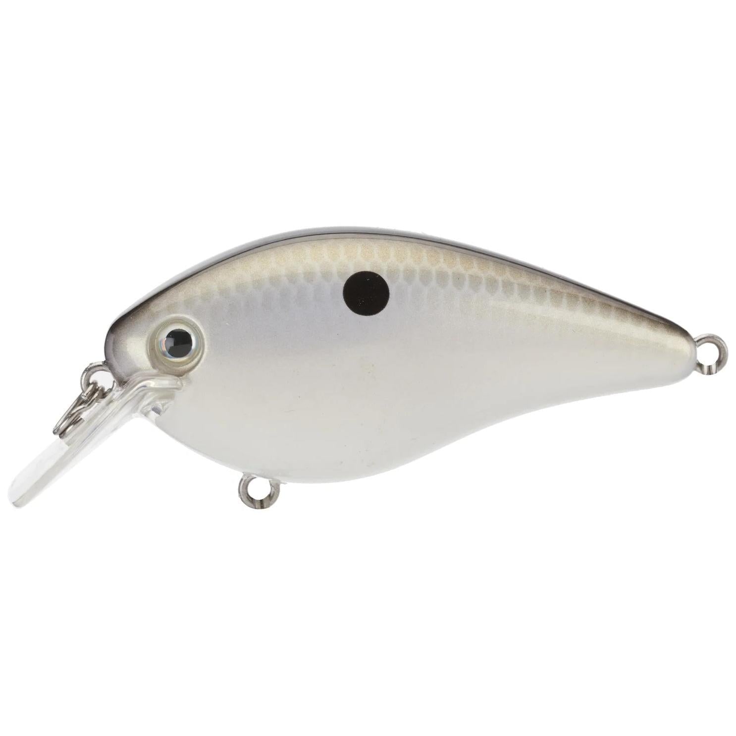 View of Squarebill Strike King KVD 1.5 Hard Knock Gizzard Shad available at EZOKO Fishing