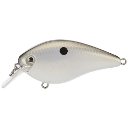 Gizzard Shad