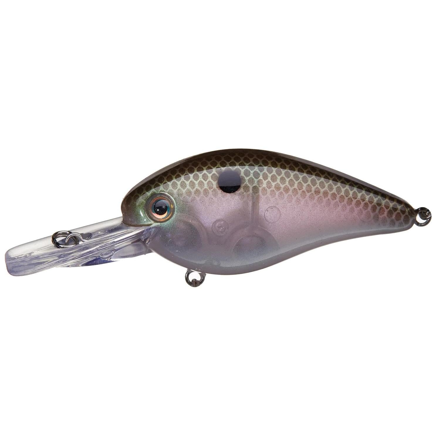 View of Squarebill Strike King KVD Deep Diver Squarebill 1.5 Green Gizzard Shad available at EZOKO Fishing
