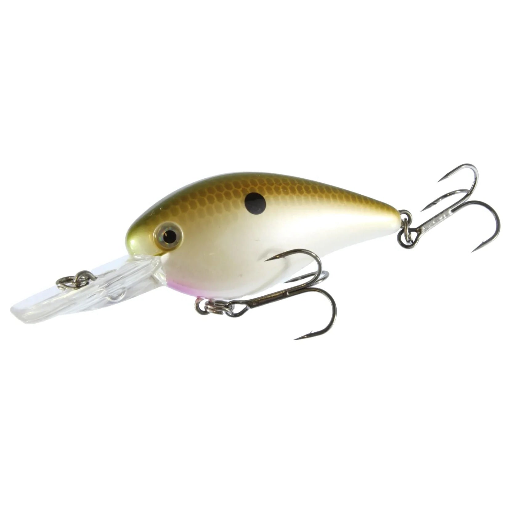 View of Squarebill Strike King KVD Deep Diver Squarebill 1.5 TN Shad 2.0 available at EZOKO Fishing
