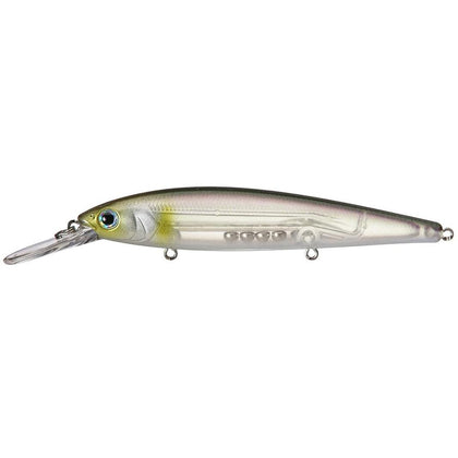 Clearwater Minnow