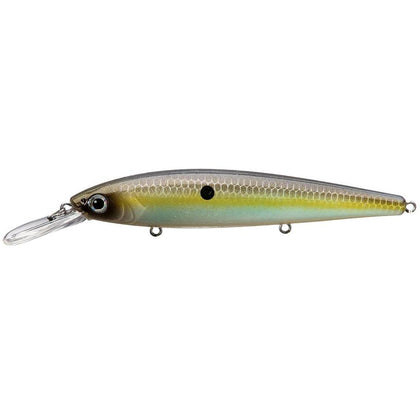 Summer Sexy Shad