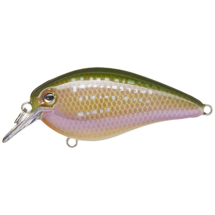 River Shiner