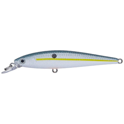 Sexy Shad