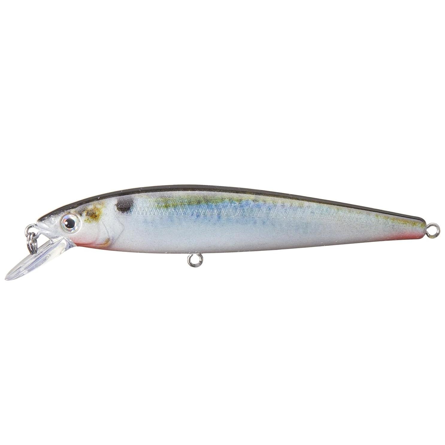 View of Jerkbait Strike King KVD Jerkbait 200 Natural Shad available at EZOKO Fishing