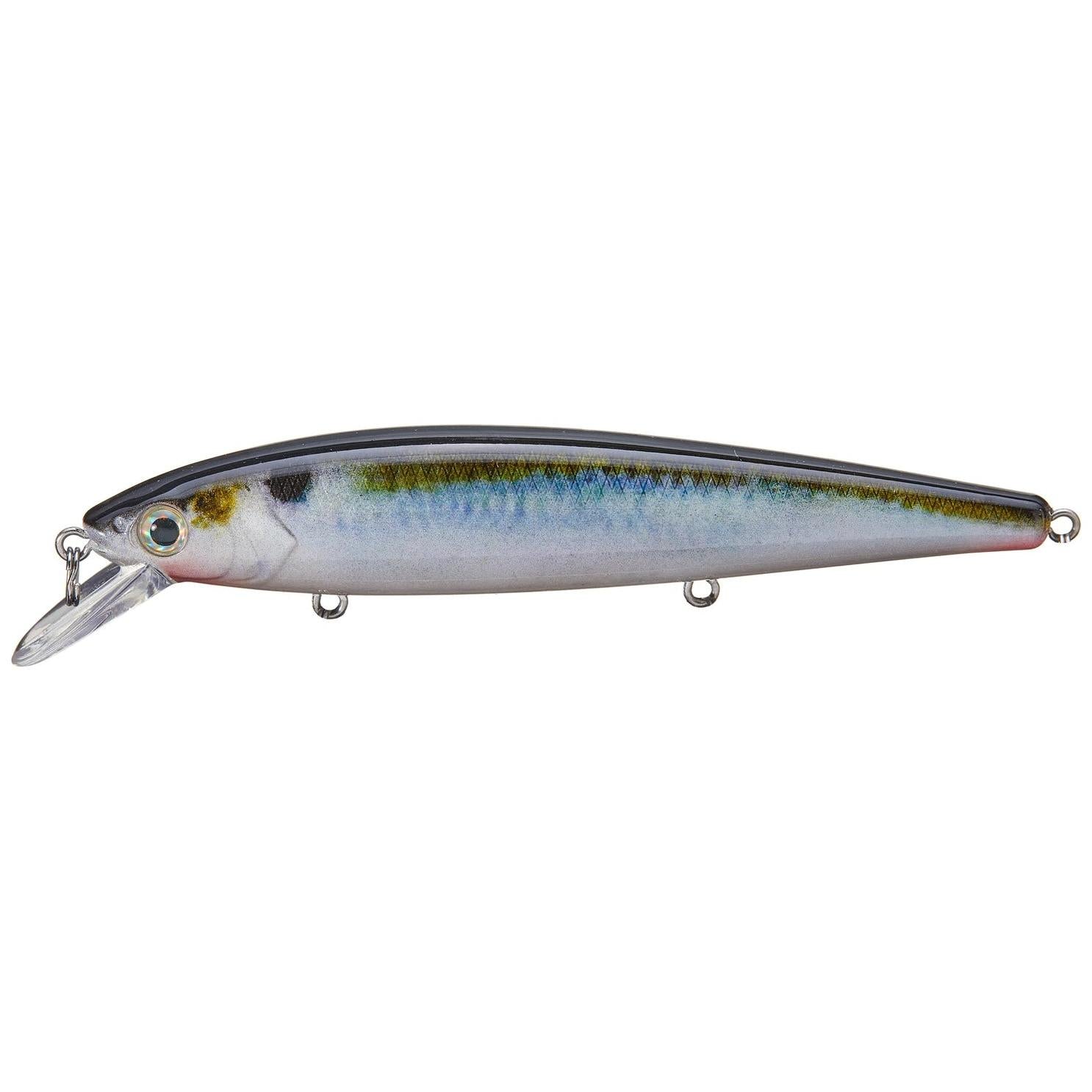 View of Jerkbait Strike King KVD Jerkbait 300 Natural Shad available at EZOKO Fishing