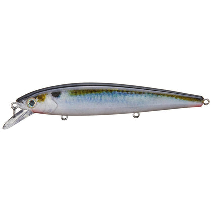 Natural Shad