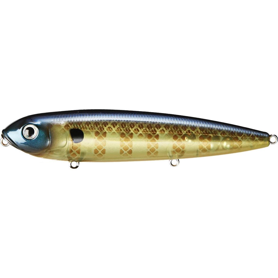 View of Topwater Strike King KVD Sexy Dawg Bluegill available at EZOKO Fishing