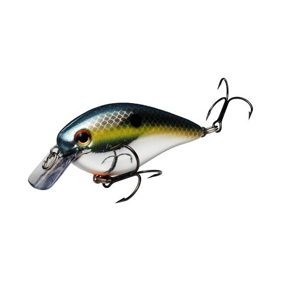 View of Squarebill Strike King KVD Shallow Square Bill 1.5 Chrome Sexy Shad available at EZOKO Fishing