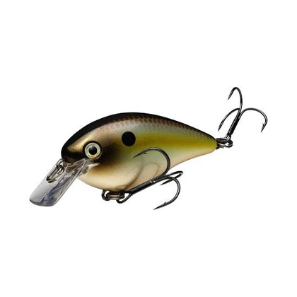 Summer Sexy Shad