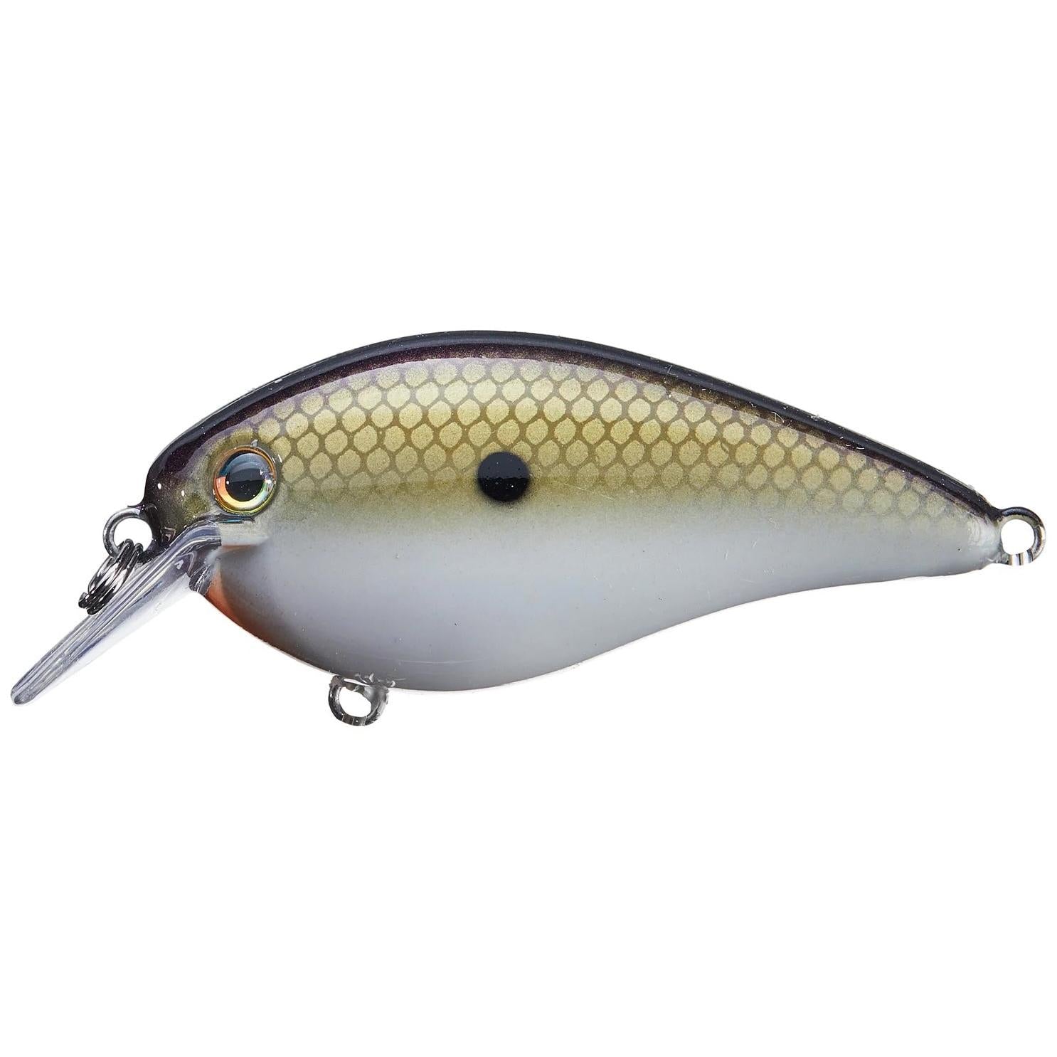 View of Squarebill Strike King KVD Square Bill 1.0 TN Shad 2.0 available at EZOKO Fishing