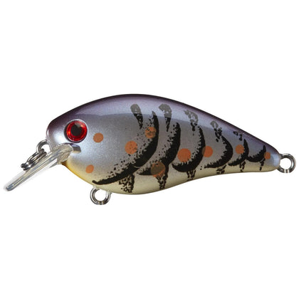 Blue Craw