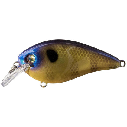 Bluegill