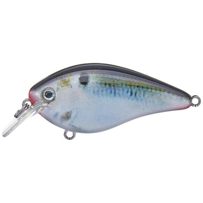 Natural Shad