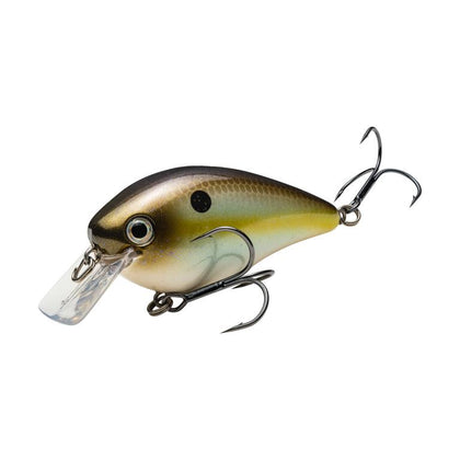 Summer Sexy Shad