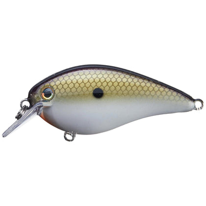 TN Shad