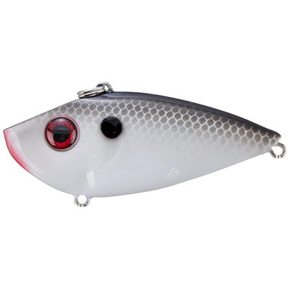 Gizzard Shad