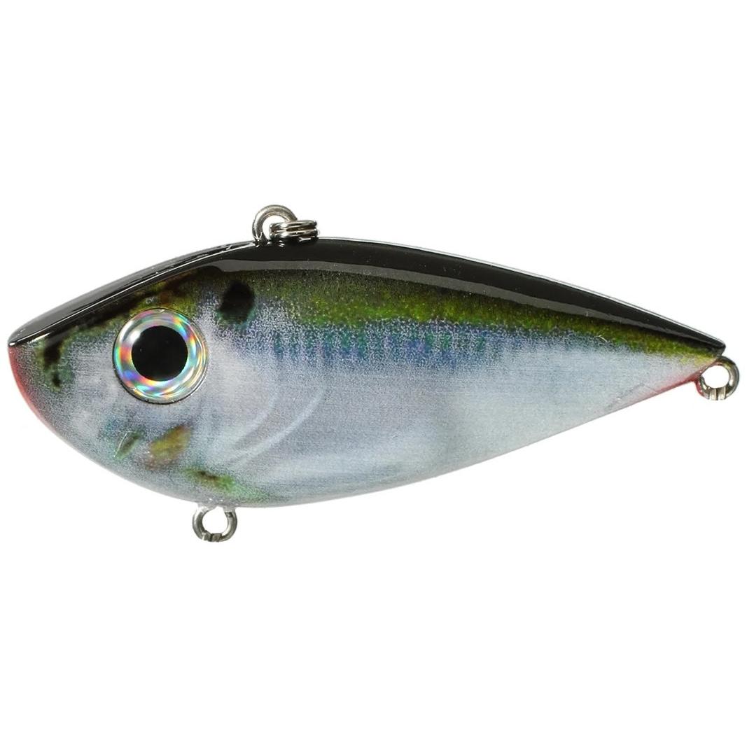 View of Lipless crankbait Strike King Red Eyed Shad 3/8 oz Natural Shad available at EZOKO Fishing