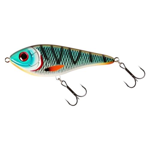 View of Swimbaits Strike Pro Buster Swimbait Tiger Cichlid available at EZOKO Fishing