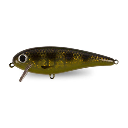 Spotted Bullhead